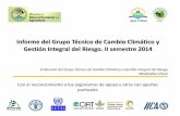 Informe del Grupo Técnico de Cambio Climático y Gestión ...³n_Informe_resultados_2014.pdfSeguimiento de la agenda internacional en materia de cambio climático •Miembros del