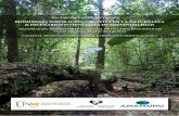 BIOMIMESIS: INSPIRACIÓN CREATIVA EN LA NATURALEZA & … · 2017-07-27 · ri+3 biomimicry network biomimesis: inspiraciÓn creativa en la naturaleza & escenarios potenciales de sostenibilidad