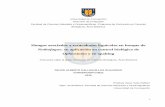 Nothofagus: su aplicación en control biológico derepositorio.udec.cl/bitstream/11594/2036/3/Tesis_Hongos... · 2020-01-20 · i Universidad de Concepción Dirección de Postgrado