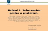 Unidad 1: Información génica y proteínas....2020/03/19  · Unidad 1: Información génica y proteínas. Aprendizaje esperado: Saben que el DNA es el material genético que especifica