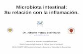 Microbiota intestinal: Su relación con la inflamación....Microbiota intestinal es considerada un órgano integrado en la fisiología del individuo. “supra-organismo”, compuesto