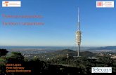 Telecomunicacions, Territori i Urbanismeterritori.scot.cat/forum/downloads2/telecomunicacions... · 2015-04-11 · telecomunicacions buida de competències els ens locals en termes