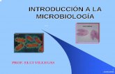 INTRODUCCIÓN A LA MICROBIOLOGÍAcaminoalaciencia.weebly.com/uploads/2/4/9/8/24988193/microbiolo… · 23/05/2006 7 IMPORTANCIA DE LA MICROBIOLOGÍA Aspecto perjudicial: Las enfermedades
