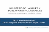 META: Implementación del Centro Integral de Atención al Adulto … · 2016-12-26 · Programa de Incentivos a la Mejora de la Gestión Municipal Personas adultas mayores cuentan