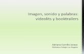 Adriana Carrillo Jarava - repositorio.bibliotic.inforepositorio.bibliotic.info/IMG/pdf/bibliotic2014... · El videolit es una forma artística, una herramienta didáctica, una exploración