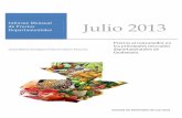 Informe Mensual de Precios Departamentales Julio 2013 · 2018-12-14 · Julio/Junio 2013 Julio 2013/ Julio 2012 El Progreso Centro Municipal de Comercialización 6.75 6.00 7.00 7.00