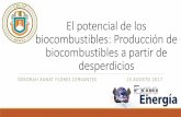 El potencial de los biocombustibles: Producción de … · 2017-09-25 · El potencial de los biocombustibles: Producción de biocombustibles a partir de desperdicios DÉBORAH XANAT