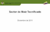 Sector de Maíz Tecnificado - MinAgricultura · 2019-05-13 · - Con la Cadena y Corpoica se esta trabajando en la construcción de la agenda única de investigación dirigida hacia