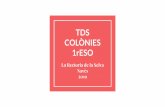 COLÒNIES TDS 1rESOidc.cat/media/files/file_661_7332.pdf · TDS-colònies El TDS de 1r està vertebrat al voltant de la descoberta de l’entorn paisatgístic i la ﬂora de la Vall