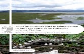 Sitios importantes para la conservación de las aves …calidris.org.co/wp-content/uploads/2009/09/Sitios...Sitios Importantes para la conservación de las aves playeras en Colombia