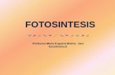 FOTOSINTESISedntesis.pdf · FOTOSINTESIS Profesora María Eugenia Muñoz Jara Ecociencia.cl. La fotosíntesis es un proceso complejo. Sin embargo, la reacción general se puede resumir
