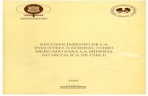 SONAMI :: Sociedad Nacional de Minería - Chile · RECONOCIMIENTO DE LA INDUSTRIA NACIONAL COMO MERCADO PARA LA MINERIA NO METALICA DE CHILE 1995 ... poder de compra, para que otros