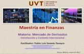 Maestría en Finanzas · volumen total de las transacciones en moneda extranjera en 2010 Transacciones fuera de la bolsa de derivados financieros (31 de diciembre 2010) Volumen de