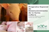 de Desenvolvimiento de la Suino cultura Programa Especial ... · llamada suino cultura de subsistencia con bajo nivel tecnológico. Producción de suínos en Brasil . ... con la carga
