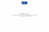 El impacto de la crisis española de la vivienda en grupos ... · Este informe se centra en el impacto diverso de la crisis hipotecaria en los grupos particularmente vulnerables,