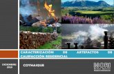 CARACTERIZACIÓN DE ARTEFACTOS DE CALEFACCIÓN … · 2019-04-05 · ingreso mensual lÍquido fuente: estudio de caracterizaciÓn de artefactos de calefacciÓn residencial para coyhaique