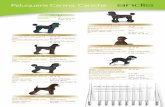 Peluquería Canina: Caniche · 2020-06-16 · Elimina de manera segura el manto inferior y el pelo suelto con facilidad. Se recomienda para los perros que pierden pelo. Cepillo de