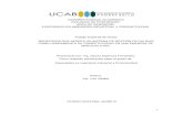 VICERRECTORADO ACADÉMICO POSTGRADO EN INGENIERÍA ...biblioteca2.ucab.edu.ve/anexos/biblioteca/marc/texto/AAS7604.pdf · la efectividad, eficiencia y rentabilidad en las organizaciones.