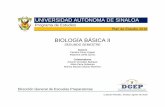 BIOLOGÍA BÁSICA IIdgep.uas.edu.mx/programas2018/semestre2/BIOLOGIA_BASICA_II_2… · este programa de Biología básica II, se atiende a cuatro ámbitos: Exploración y comprensión