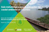 Guía metodológica para la estimación del caudal ambiental en Colombia · 2019-03-30 · Guía metodológica para la estimación del caudal ambiental en Colombia Grupo de Administración