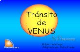 Tránsito de VENUS · 2008-05-05 · Cuando Venus se encuentra con la Tierra No tránsito Tránsito! Pero la órbita de Venus está ligeramente inclinada con respecto a la órbita