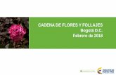 CADENA DE FLORES Y FOLLAJES Bogotá D.C. Febrero de 2018 Cif… · El principal importador de flores a nivel mundial es Estados Unidos, país en donde la participación de las flores