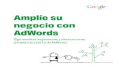 Amplíe su negocio con AdWords · Cómo funciona AdWords 5 Sus anuncios no sólo se muestran a las personas que buscan en Google sino que también aparecen en los sitios web relevantes