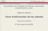 Usos tradicionales de las plantas · 2020-03-10 · UNIVERSIDAD DE MURCIA. Aula de Mayores. Las plantas en la Región de Murcia: diversidad, conservación y usos. Séptima Sesión: