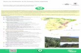 Hacia una clasificación de los bosques mixtos españoles · Aproximadamente el 27% de la superficie forestal nacional calificada como bosques naturales en los Mapas Forestales Españoles