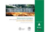 Restauración ecológica para ecosistemas nativos afectados ...³n.pdf · 11.1 El Contexto Ambiental _____149 11.2 Diagnóstico de las Políticas Ambientales Orientadas ... para la