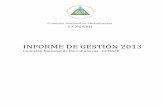 INFORME DE GESTIÓN 2013 · 2017-01-05 · Estado de la Situación Financiera ... de fecha 14 de marzo del año 2014, aprobó el Informe Anual de Gestión del año 2013, de la Comisión
