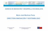 María José Martínez Perza DIRECTORA INNOVACIÓN Y ...€¦ · AGENCIA DE INNOVACIÓN Y DESARROLLO DE ANDALUCÍA 17 de Noviembre 2010 - Antequera ... fomento de la fomento de la