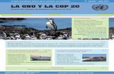 LA ONU Y LA COP 20 - Instituto de Estudios Forestales y ...€¦ · LA ONU Y LA COP 20 Boletín del Sistema ... la Educación, la Ciencia y la Cultura (UNES-CO) • World Wildlife