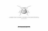 Catálogo de los Carabidae (Coleoptera) de la Península ......dades para la fauna ibérica con respecto al catálogo de Zaballos y Jeanne (1994), la relación sintética de la Sistemática
