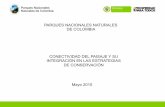 PARQUES NACIONALES NATURALES DE COLOMBIA …web.fedepalma.org/sites/default/files/files/Nicolai... · 2015-06-05 · PARQUES NACIONALES NATURALES DE COLOMBIA CONECTIVIDAD DEL PAISAJE