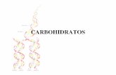 Carbohidratos - cmapspublic3.ihmc.uscmapspublic3.ihmc.us/rid=1GPM99PBH-171HGRJ-DV7... · Los Carbohidratos •Incluyen los azúcares simples y los polisacáridos. •La glucosa es