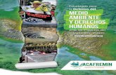 Estrategias para la Defensa del Medioambiente y los Derechos …acafremin.org/images/documentos/Estratgias-para-le... · 2019-02-08 · Estrategias para la Defensa del Medioambiente