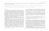 Abordaje subcraneal. Consideraciones técnicas y ...scielo.isciii.es/pdf/neuro/v21n6/investigacion4.pdf · Abordaje subcraneal. Consideraciones técnicas y aplicaciones en patología