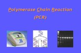 Polymerase Chain Reaction (PCR) - Genética …...es cDNA, el cual fue generado por transcripción reversa a partir de una muestra de RNA. AAAAAAAAAAAAAAn TTTTTTTTTT Oligo dT Transcriptasa