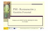 PSE-Restauración y Gestión Forestal · de madera sobre el mapa de regiones de procedencia (BOE 16/9/2009) correspondientes a las regiones de procedencia de la especie en España.