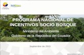 Ministerio del Ambiente Gobierno de la República del Ecuador · Gestión de Paisajes Gestión Integral de Bosques y Vida Silvestre Ordenamiento Territorial Normativa n as Actores: