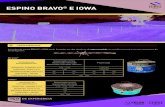 Espino Bravo e Iowa Bravo e Iowa.pdfESPINO BRAVO® E IOWA Los rollos de espino BRAVO® y IOWA están formados por dos alambres de acero recocido con torsión continua y con una resistencia