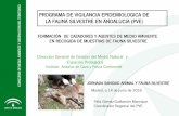 PROGRAMA DE VIGILANCIA EPIDEMIOLOGICA DE LA FAUNA ... · control de subproductos animales no destinados al consumo humano y de sanidad animal, en la práctica cinegética de caza