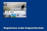 Aspectos más importantes - UFRGS Global - Gelo e neve... · explotación de los recursos petroleros y el turismo marítimo, con sus beneficios y riesgos concomitantes. n La Ruta