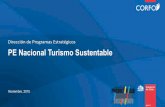 Dirección de Programas Estratégicos PE Nacional Turismo … · 2017-11-30 · 3. Turismo de Naturaleza y Aventura (TNA) 4. Astroturismo (AST) 5. Gastronomía, Eventos y Festividades