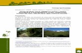 Inga - biblioteca.ihatuey.cu · fragmentación por sobrepastoreo de ganado vacuno a la plastificación e impermeabilización del suelo mediante las monoplantaciones de pinos y cipreses.