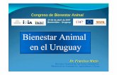 Congreso de Bienestar Animal - INIAtécnica sobre “Bienestar Animal en Especies Productivas”, en el mes de diciembre en el Laboratorio ”Miguel C. Rubino”, con calificados disertantes