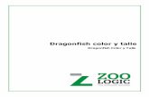 Centro de Entrenamiento y Capacitación - Dragonfish color y tallecampus.zoologic.com.ar/.../2018/10/ManualdeInstalacion.pdf · 2018-10-24 · Base de datos ... Este proceso puede
