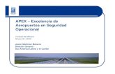 APEX – Excelencia de Aeropuertos en Seguridad Operacional · 2013-01-10 · Conclusiones La ejecutoria y proyección de tráfico y movimiento de aronaves en la región indican tasas