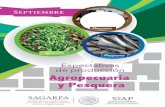Expectativas de producción Agropecuaria y Pesqueras3.amazonaws.com/.../Expectativas_Septiembre_2018.pdfExpectativas de producción agropecuaria y pesquera 2018 El volumen de producción
